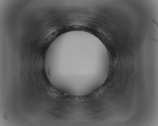 X0000098121014200804251447