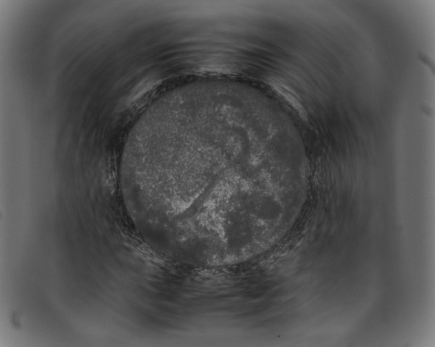 X0000098121015200804251447
