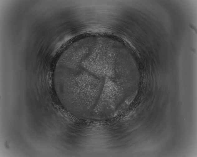 X0000098121016200804251447