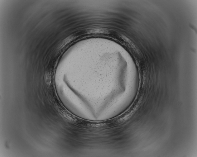 X0000098121017200804251447