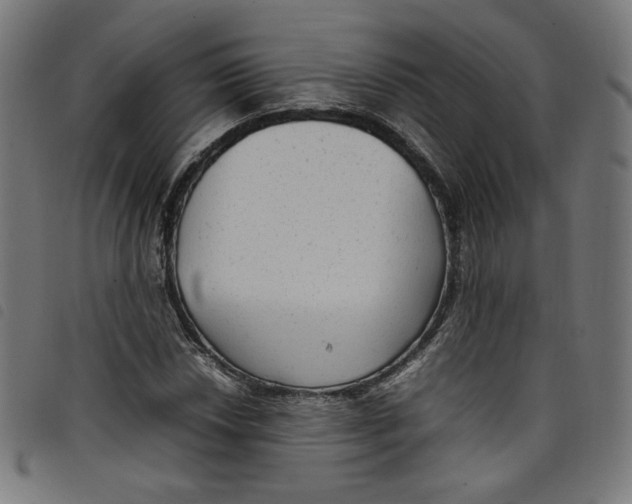 X0000098121018200804251447