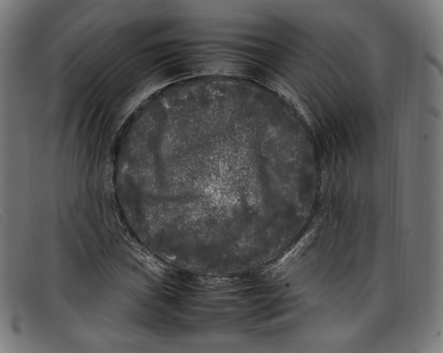 X0000098121019200804251447