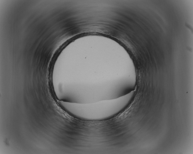 X0000098121020200804251447