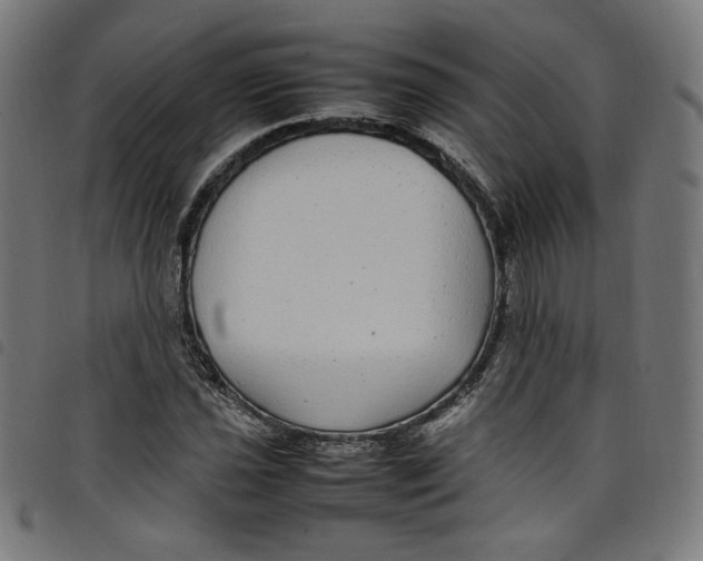 X0000098121021200804251447