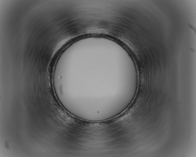 X0000098121022200804251447