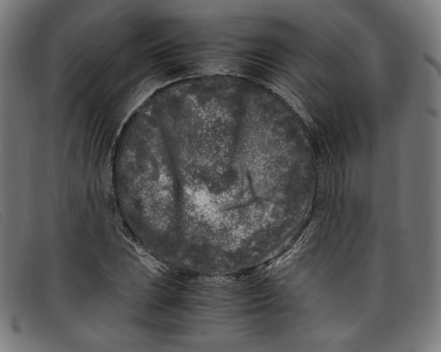 X0000098121023200804251447