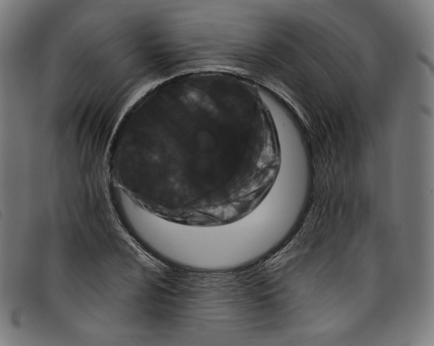 X0000098121024200804251447