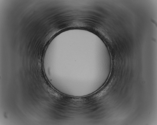 X0000098121025200804251447