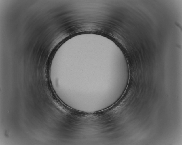 X0000098121026200804251447