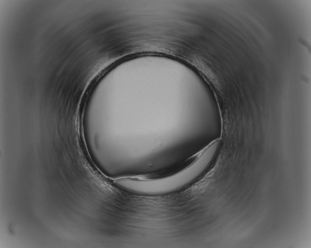 X0000098121028200804251447