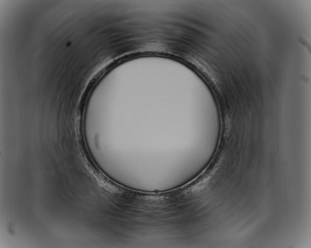 X0000098121029200804251447
