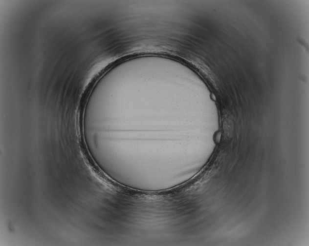 X0000098121030200804251447