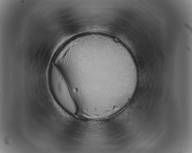 X0000098121032200804251447