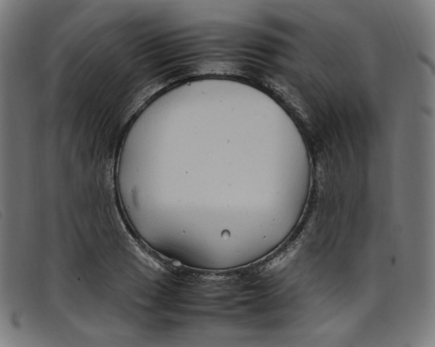 X0000098121033200804251447