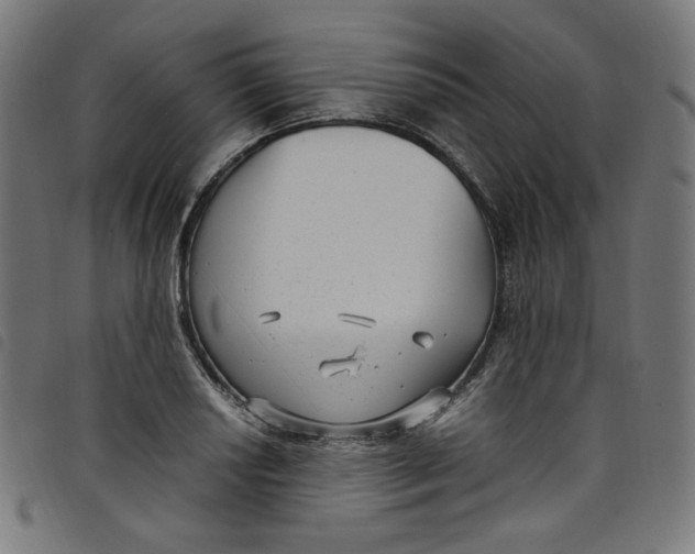X0000098121034200804251447