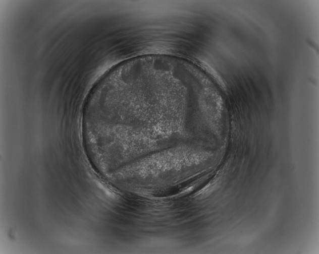 X0000098121035200804251447