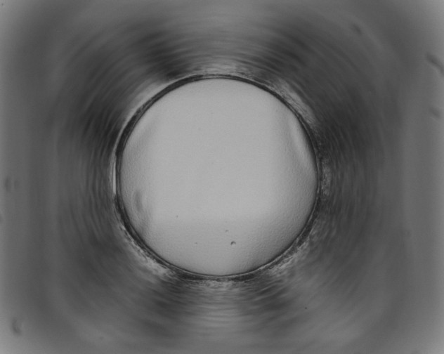 X0000098121036200804251447