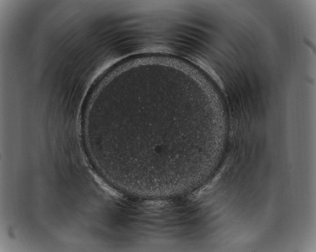 X0000098121037200804251447