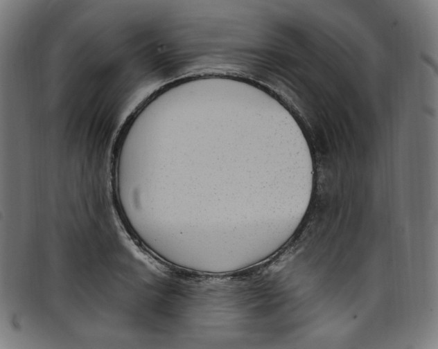 X0000098121038200804251447