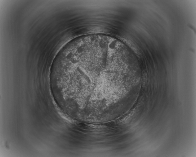 X0000098121039200804251447