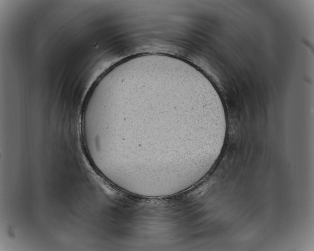 X0000098121040200804251447