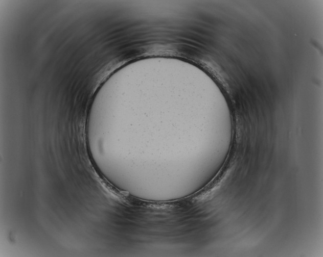 X0000098121041200804251447