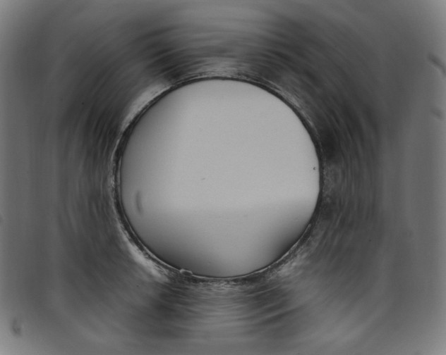 X0000098121042200804251447