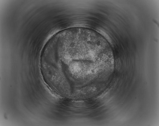 X0000098121043200804251447
