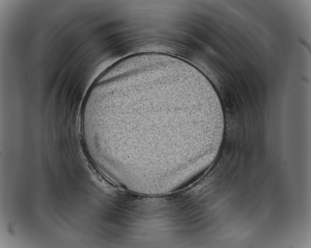 X0000098121044200804251447