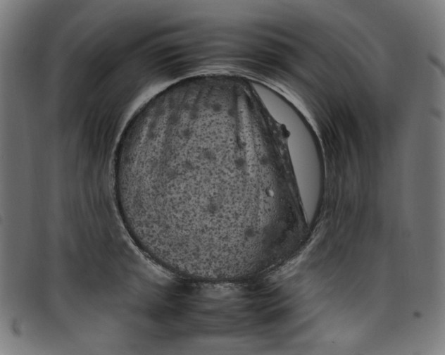X0000098121045200804251447