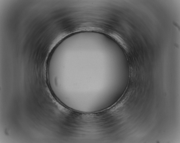 X0000098121046200804251447