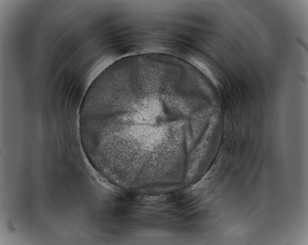 X0000098121047200804251447