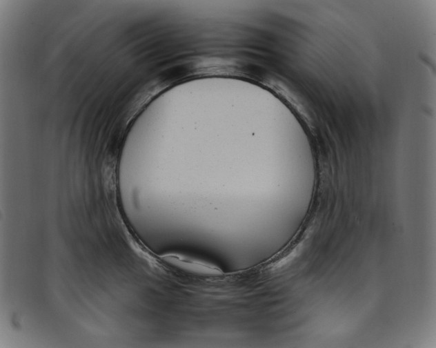 X0000098121049200804251447