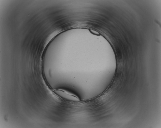 X0000098121050200804251447