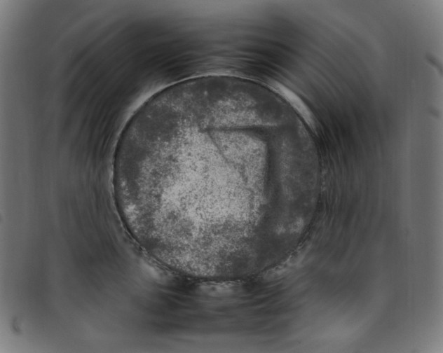 X0000098121051200804251447