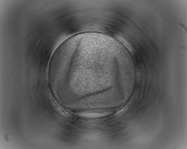 X0000098121052200804251447