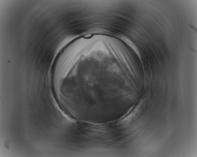 X0000098121053200804251447