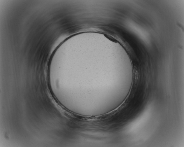 X0000098121054200804251447