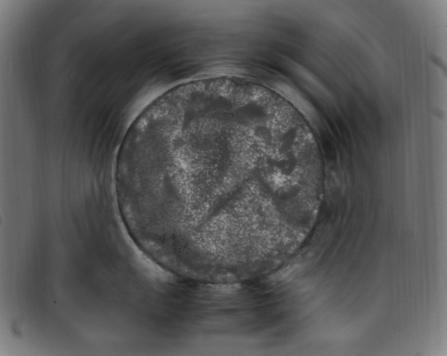 X0000098121055200804251447
