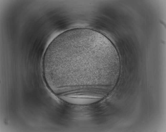 X0000098121056200804251447