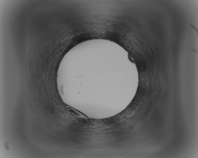X0000098121057200804251446
