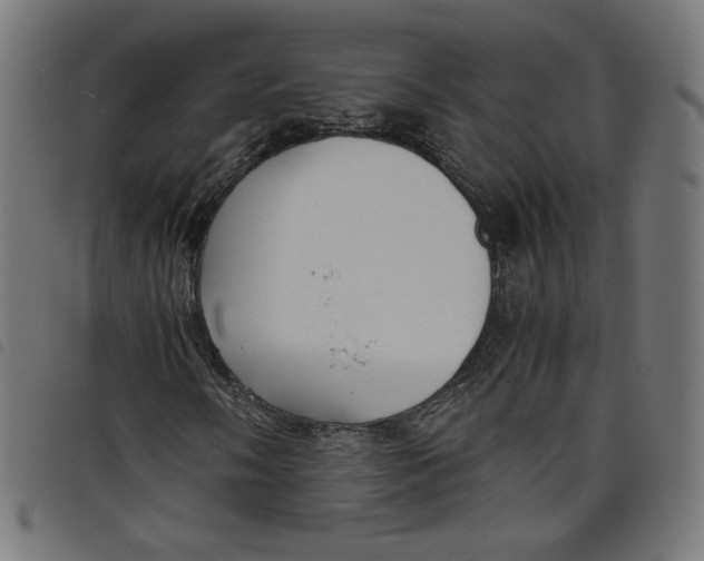 X0000098121058200804251446