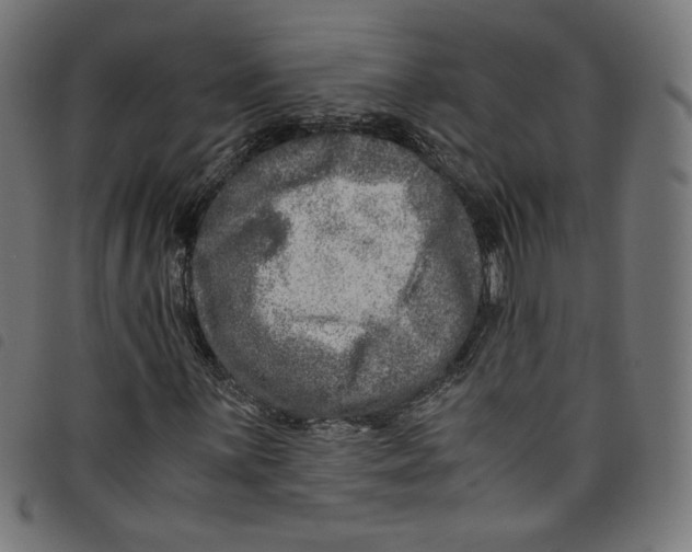 X0000098121059200804251446