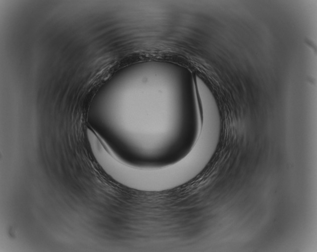 X0000098121060200804251446