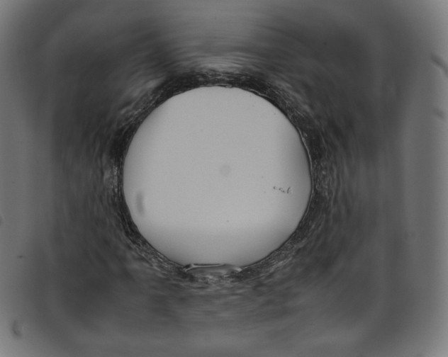 X0000098121061200804251446