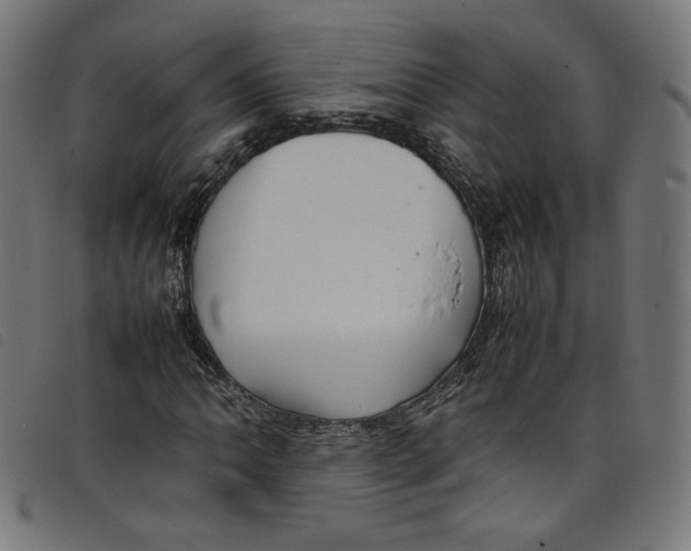 X0000098121062200804251446