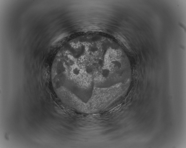 X0000098121063200804251446