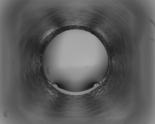 X0000098121064200804251446