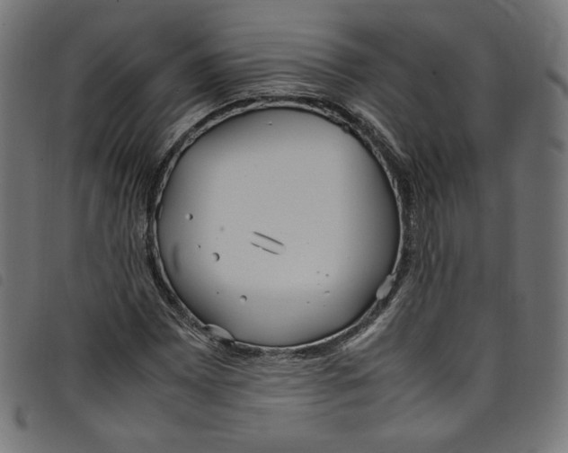 X0000098121065200804251446