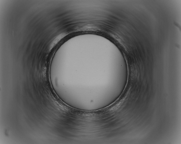 X0000098121066200804251446